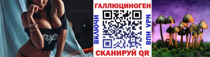 Галлюциногенные грибы Cubensis купить наркоту Куса